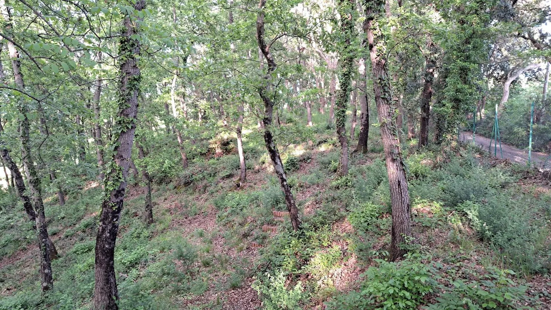 Tatil Evi Casa Con Bosco E Vista Mare Villa Montescudaio