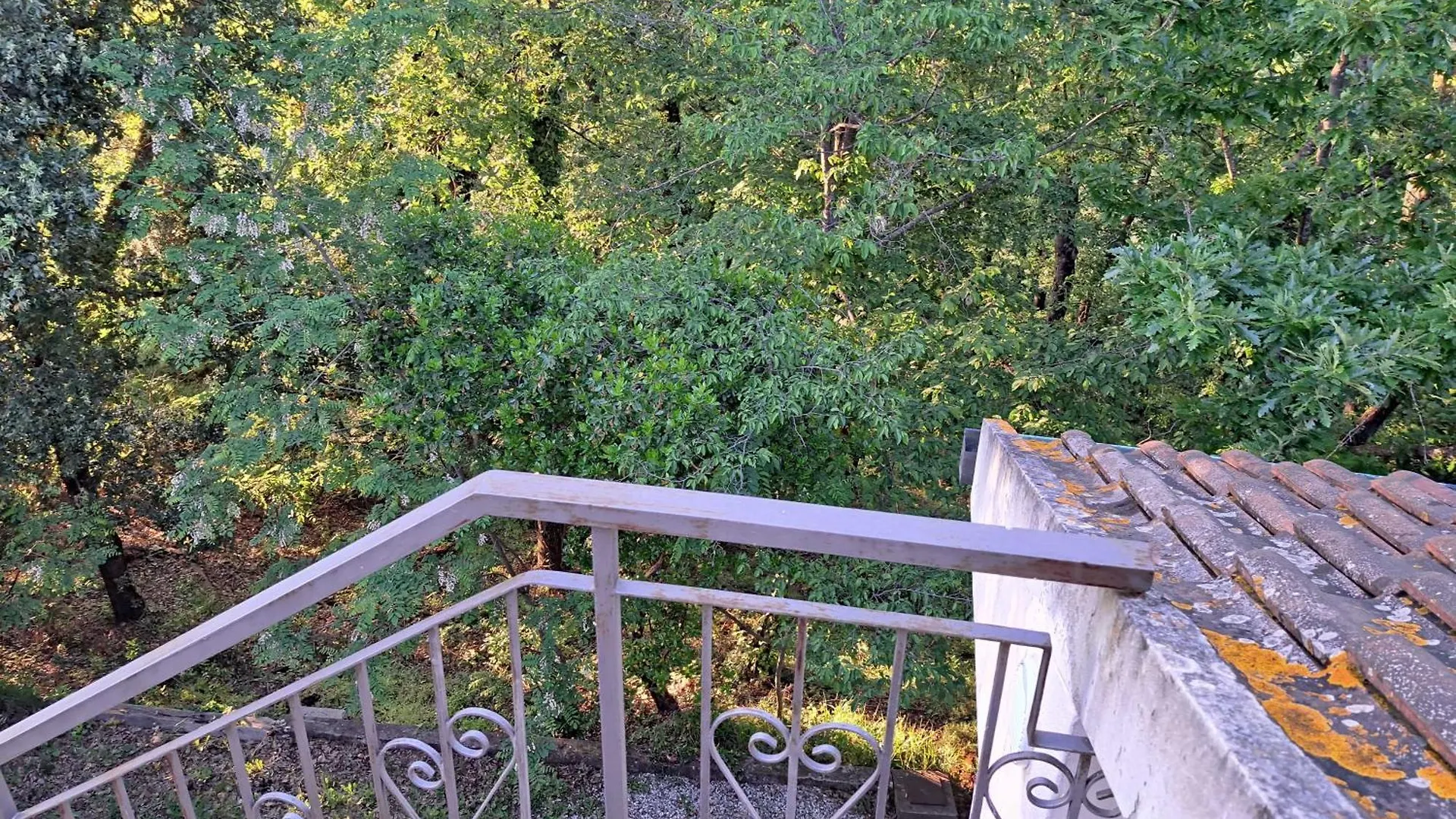 Casa Con Bosco E Vista Mare Villa Montescudaio